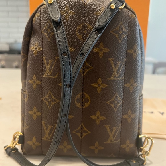 Authentic Louis Vuitton Palm Springs Mini Monogram Backpack TX4270 - Picture 4 of 13